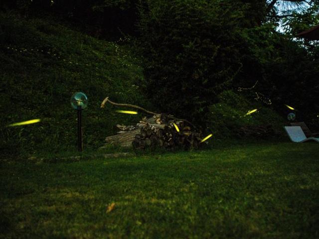 Dovadola Locanda Montepaolo المظهر الخارجي الصورة